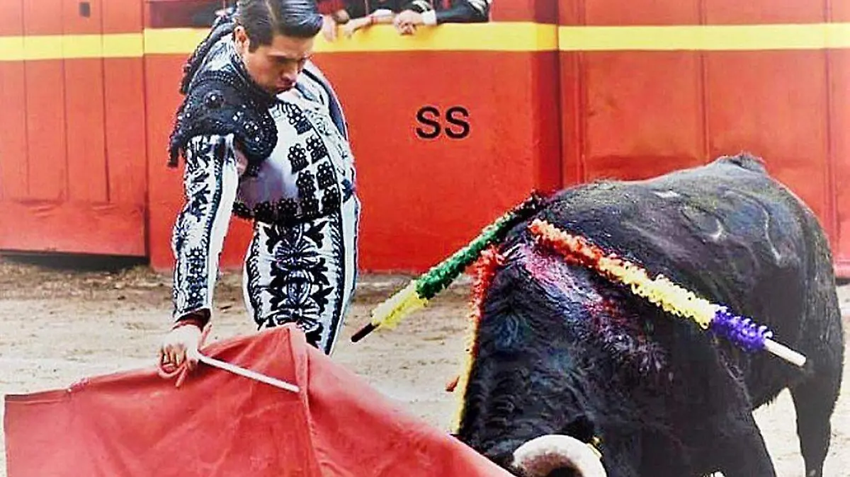 Torero haciendo la faena a un toro